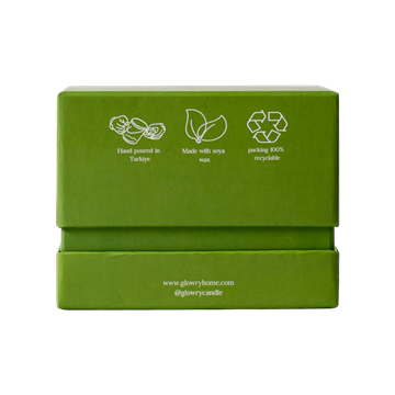 Organic Kiwi Pineapple Smoothie Pops